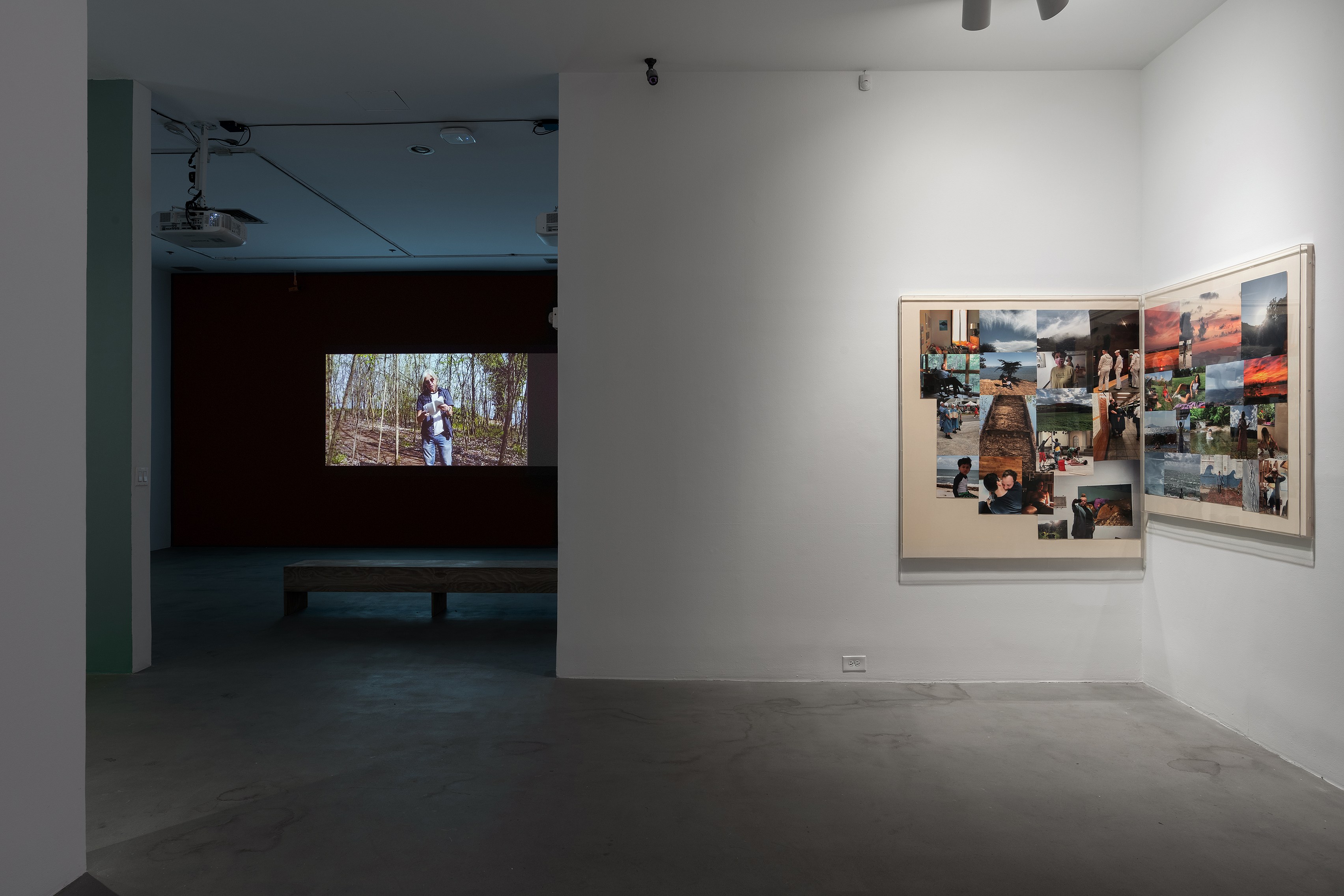 A.L. Steiner, Irthebound at 80WSE, photo 7