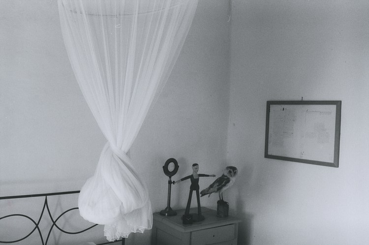 エルヴェ・ギベエール　Herve Guibert: Photographien Amazon | Herve Guibert | Guibert, Herve, Schmidt, Henkel