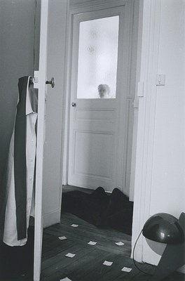 Image 15 of 17