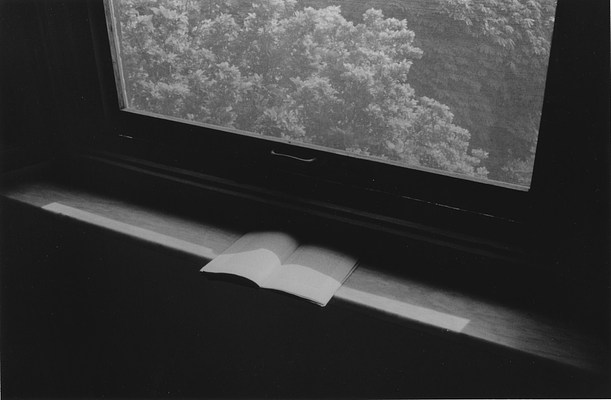 Image 16 of 17
