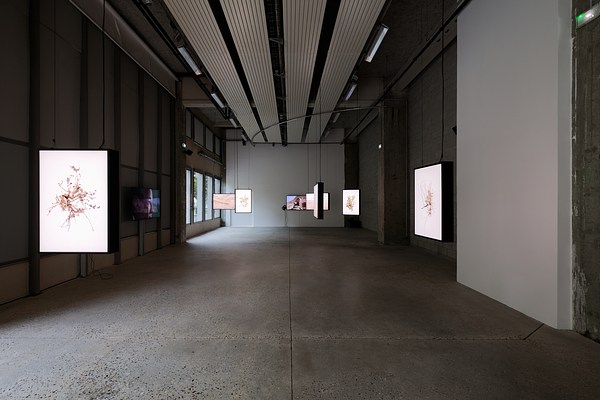 Image 1 of 9