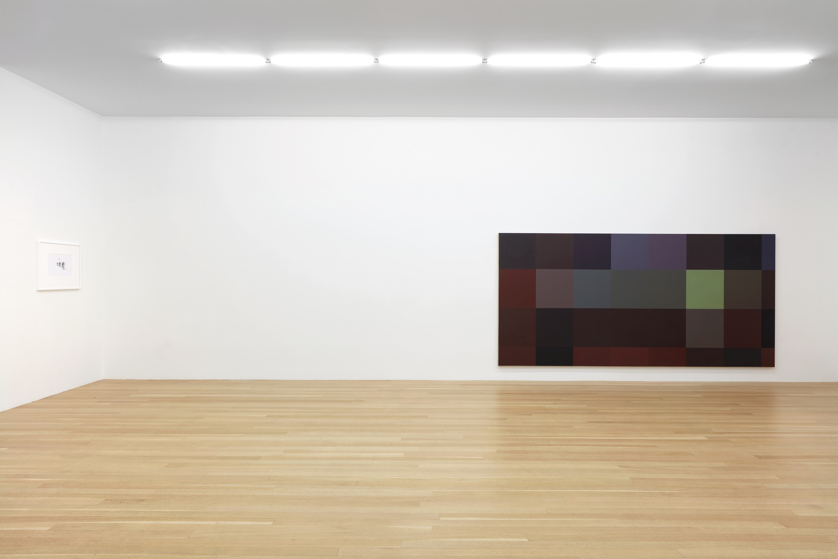 Gili Tal, You May See Butterflies: Elephant Springs at Galerie Buchholz, Berlin, photo 11