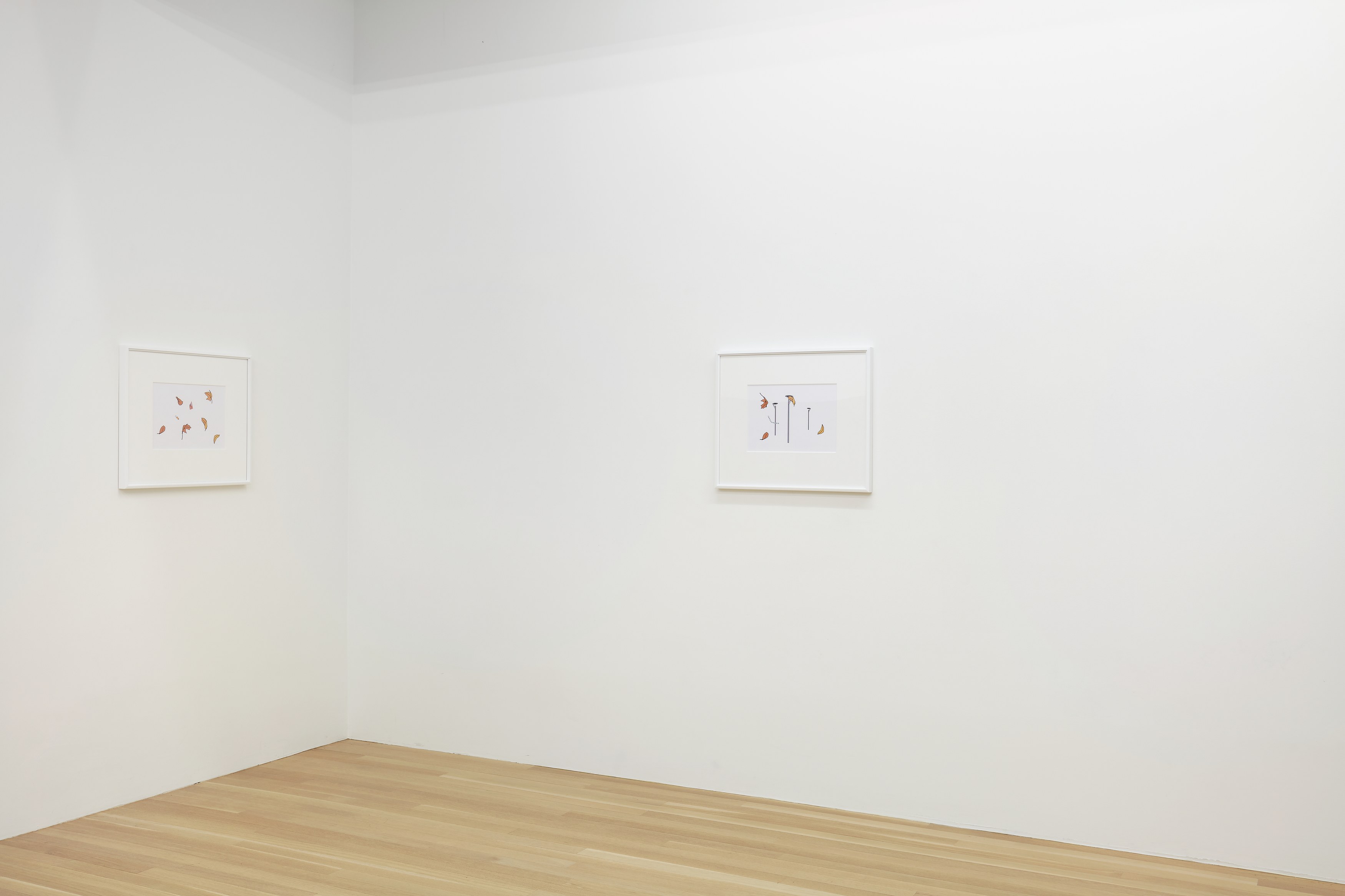 Gili Tal, You May See Butterflies: Elephant Springs at Galerie Buchholz, Berlin, photo 22