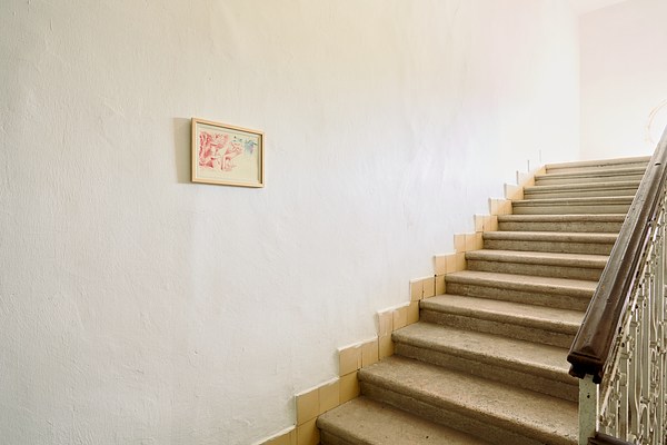 Image 2 of 19