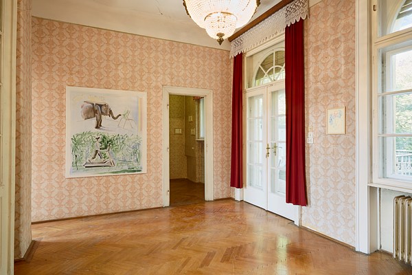 Image 7 of 19