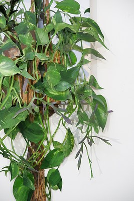 Image 74 of 118
