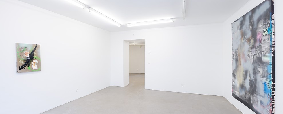 Image 8 of 13