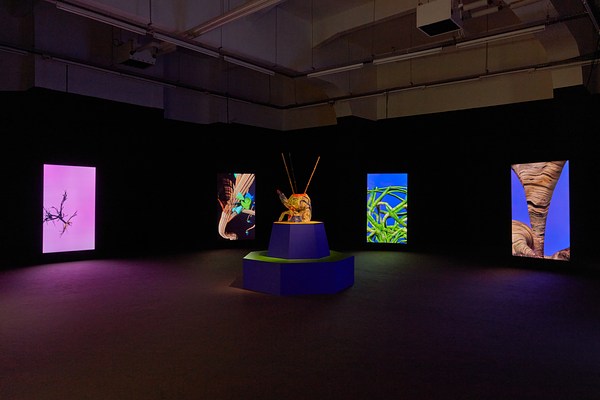 Image 3 of 9