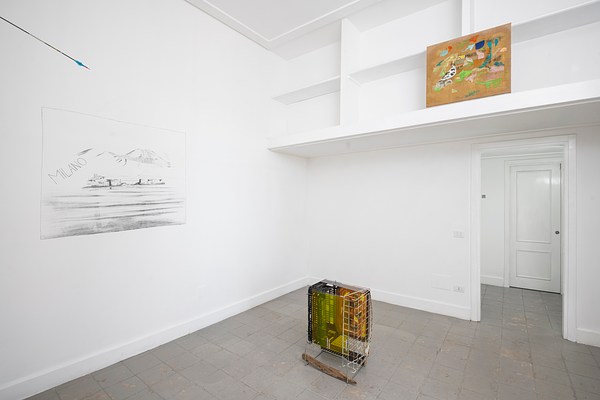 Image 4 of 20