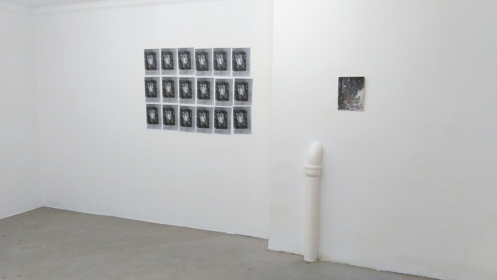 Image 5 of 9