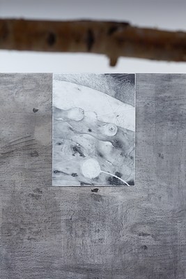 Image 8 of 20