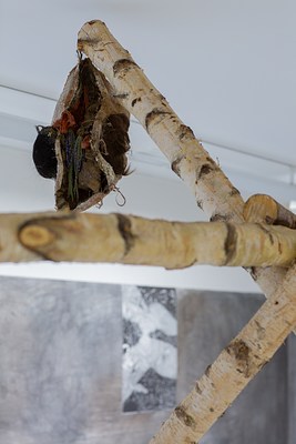 Image 10 of 20