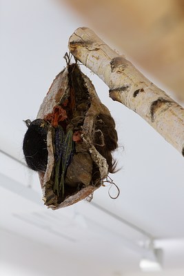 Image 11 of 20