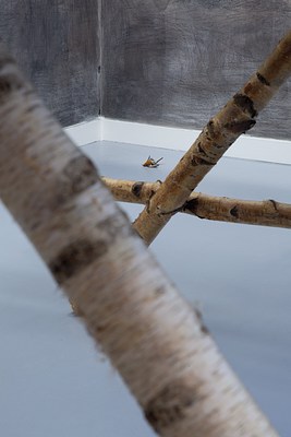 Image 14 of 20