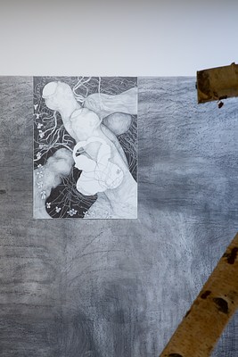 Image 13 of 20