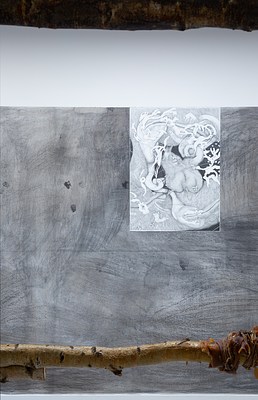 Image 17 of 20