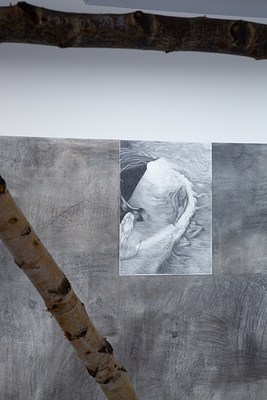 Image 19 of 20