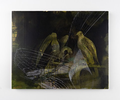 Image 11 of 12