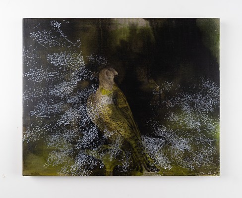 Image 10 of 12