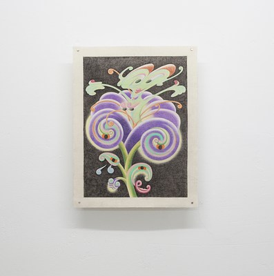 Image 2 of 14