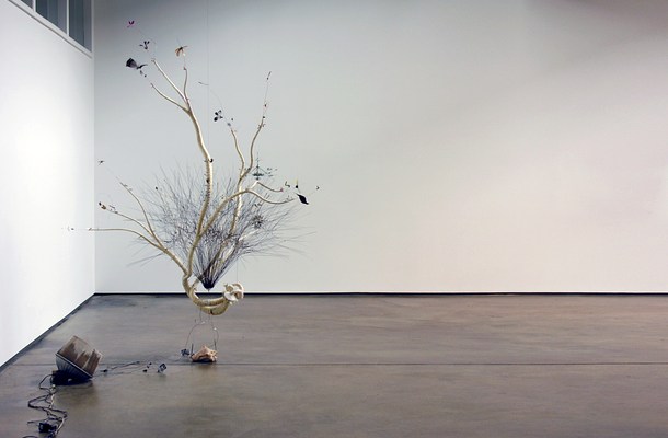 Image 1 of 8