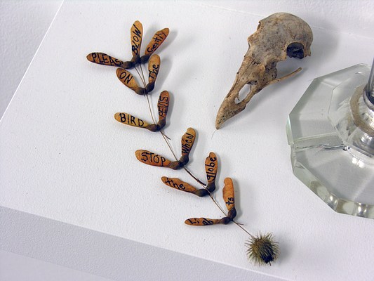 Image 8 of 8