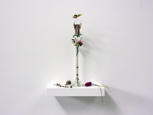Image 7 of 8
