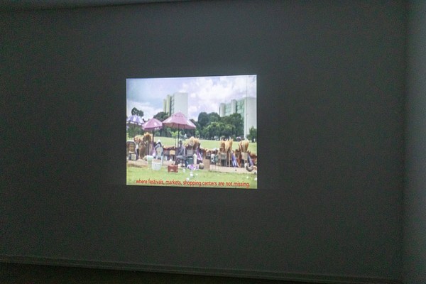 Image 7 of 7