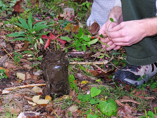 Image 4 of 4