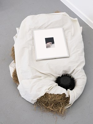 Image 1 of 16