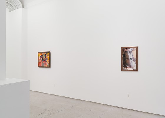 Image 3 of 30