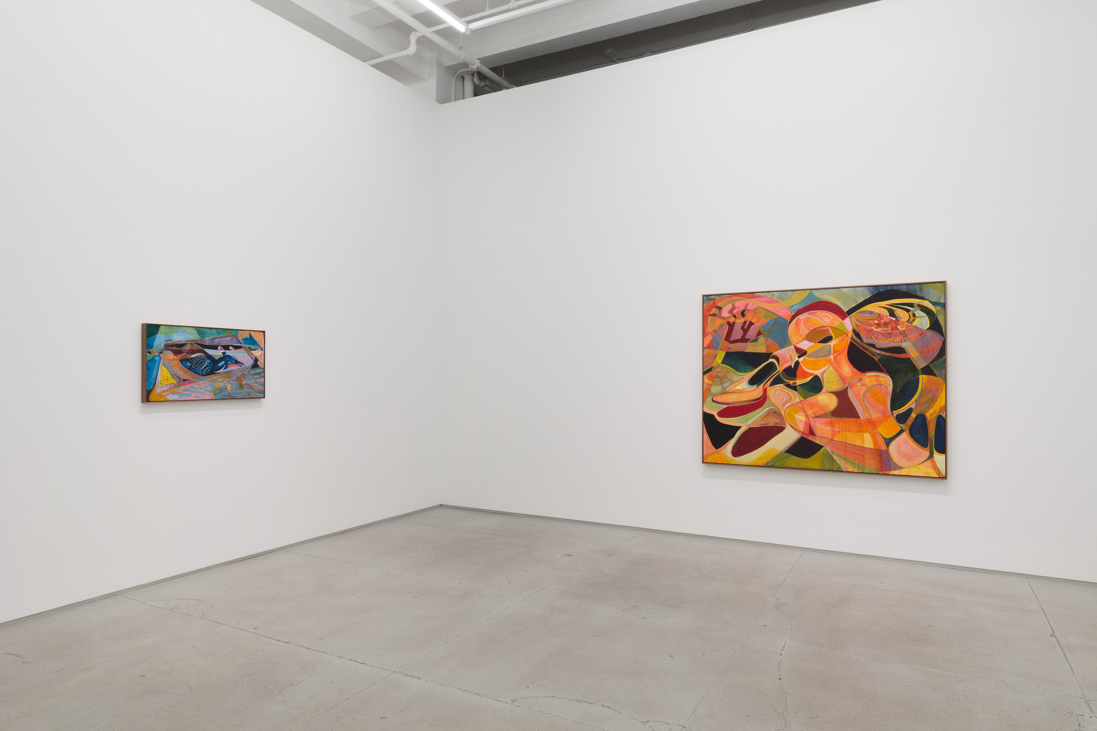 Installation view 6