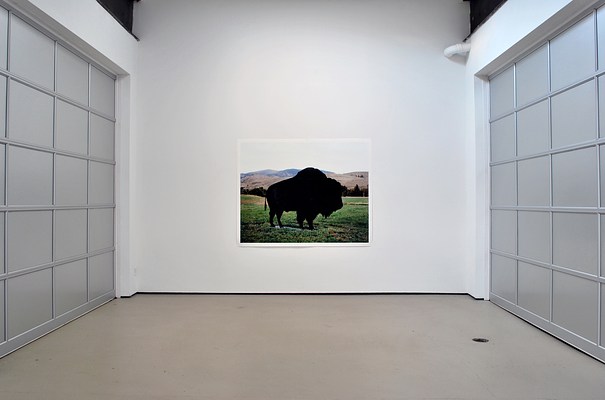 Image 4 of 12