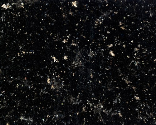 Image 7 of 12