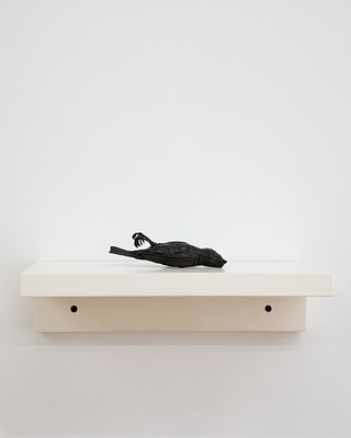 Image 21 of 50