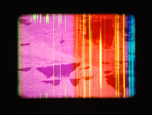 Image 11 of 12
