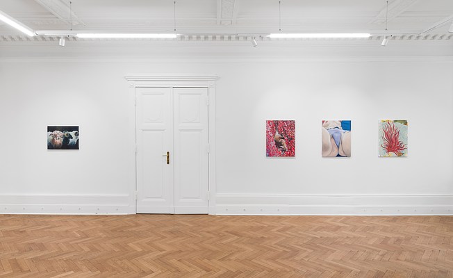 Image 6 of 27