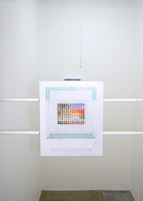 Image 2 of 11