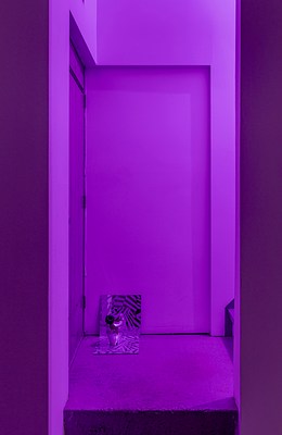 Image 4 of 36