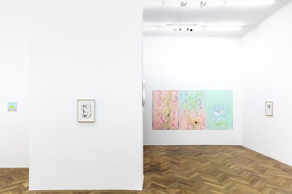 Image 1 of 25