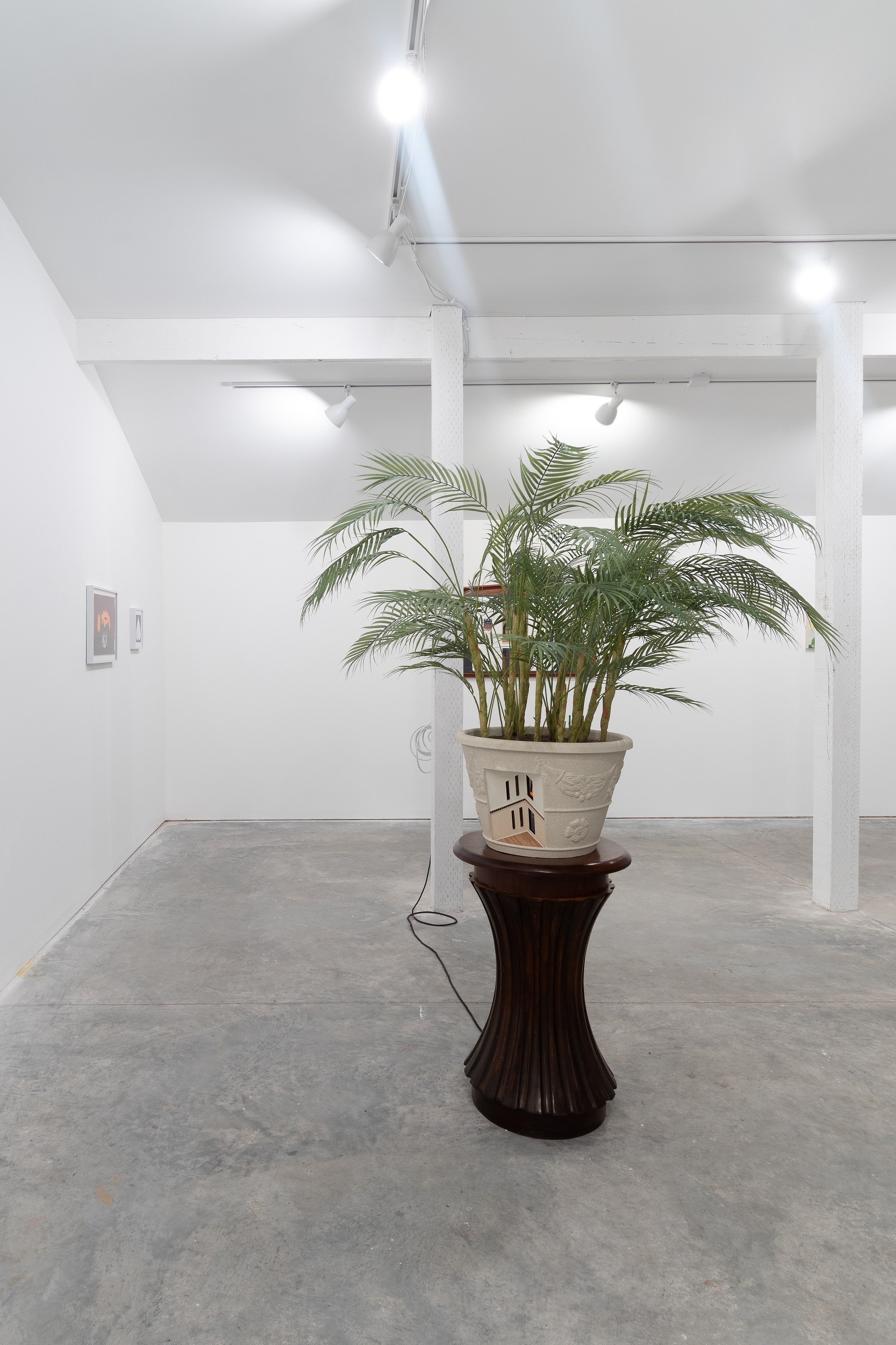 Fronds, Fronds at Marinaro, photo 3