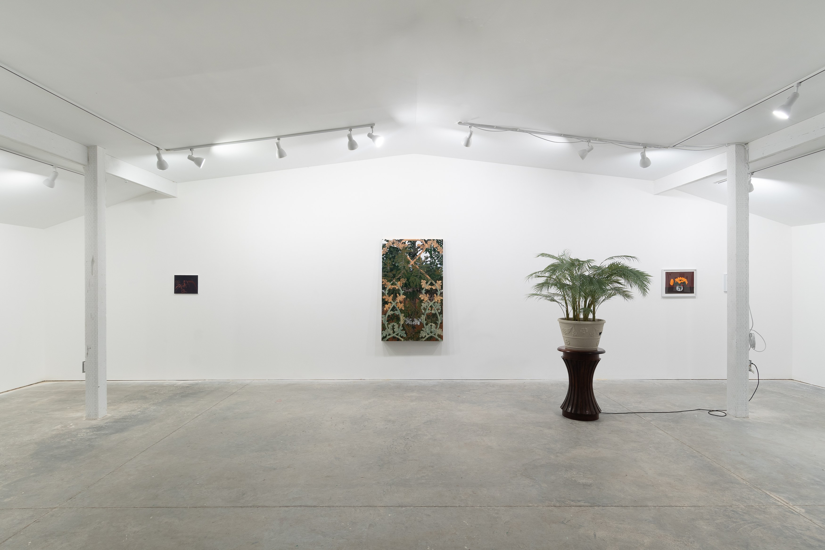 Fronds, Fronds at Marinaro, photo 2