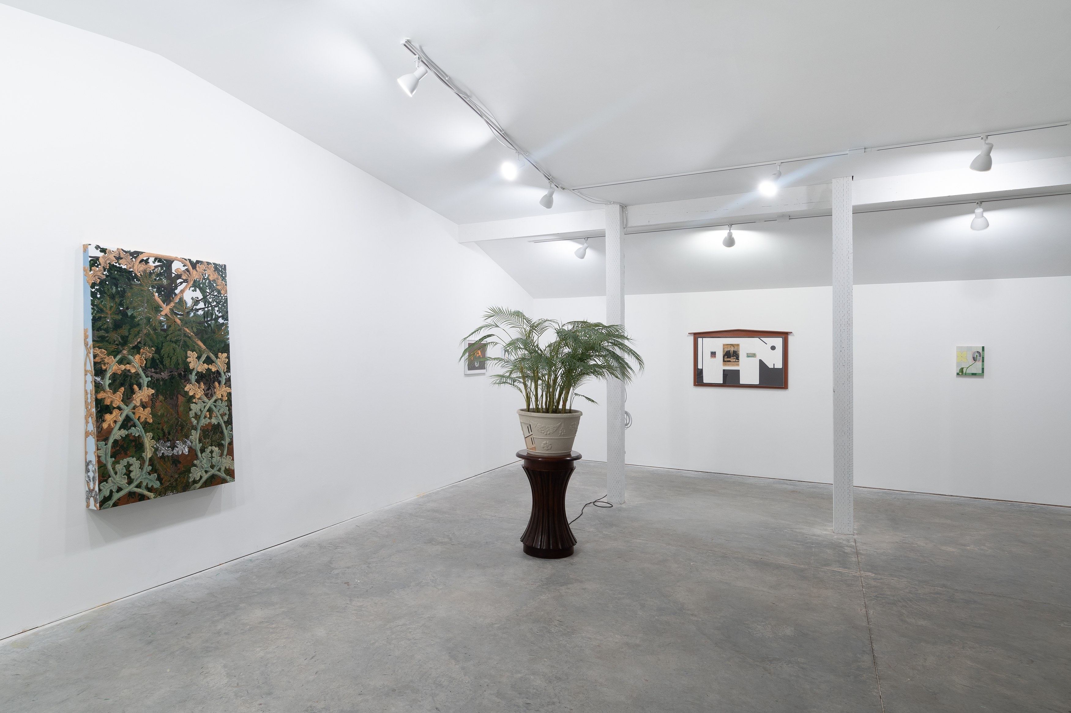Fronds, Fronds at Marinaro, photo 8