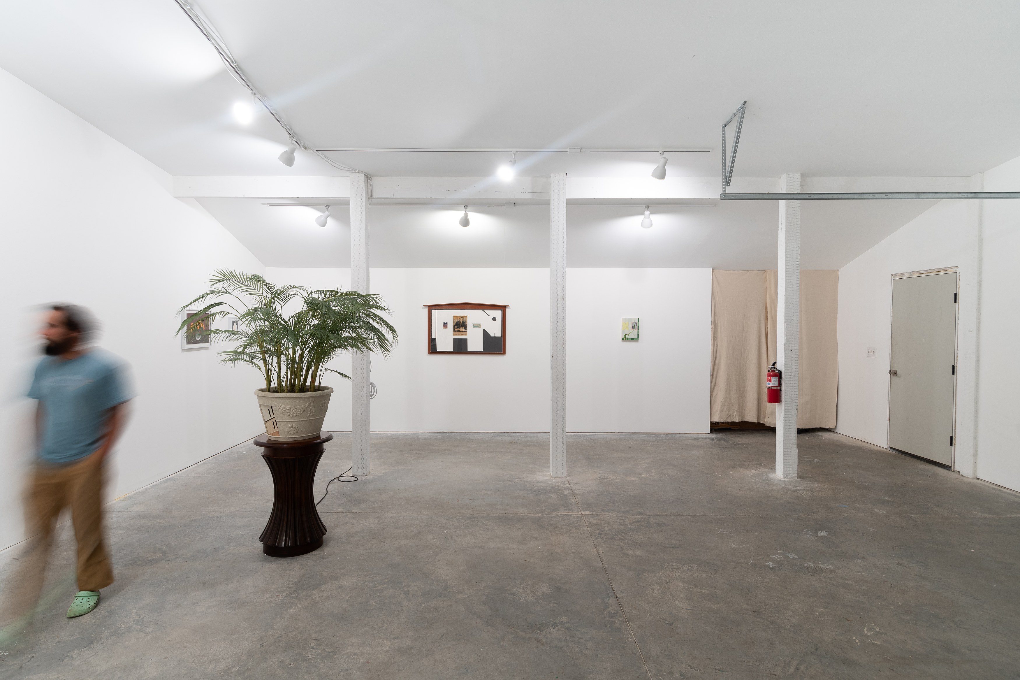 Fronds, Fronds at Marinaro, photo 9