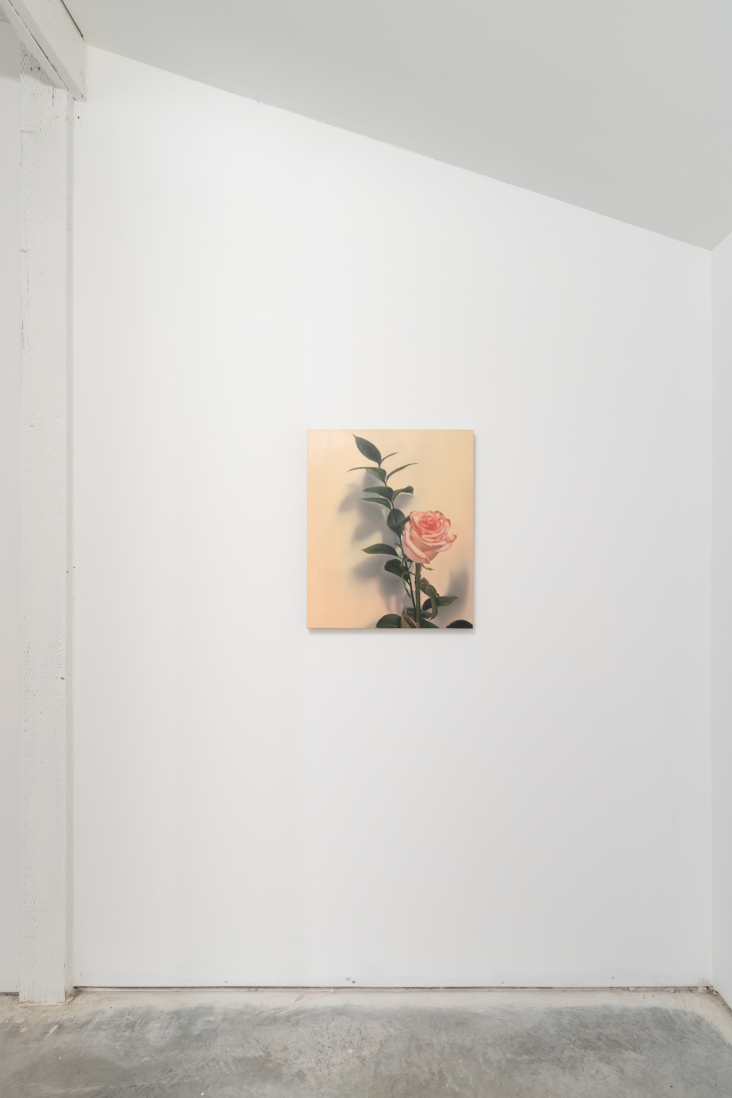 Fronds, Fronds at Marinaro, photo 12
