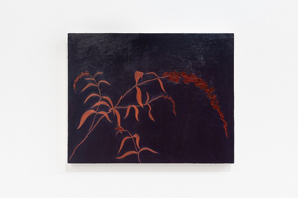 Image 14 of 28