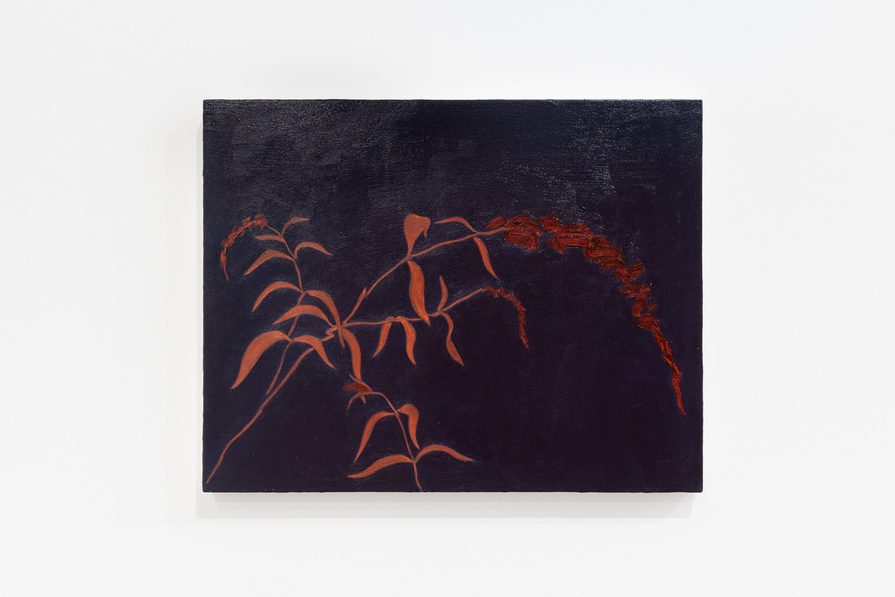 Fronds, Fronds at Marinaro, photo 14