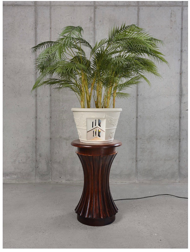 Fronds, Fronds at Marinaro, photo 26