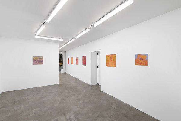 Image 8 of 27