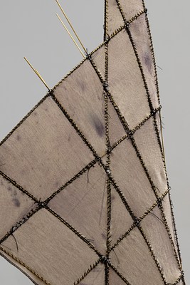 Image 5 of 25